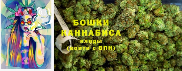 крисы Аркадак