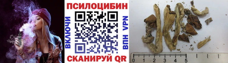 дарк нет какой сайт  Бор  Псилоцибиновые грибы Magic Shrooms  наркота 